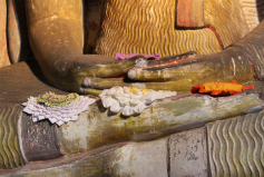 BUDDHIST TRAILS IN SRI LANKA 